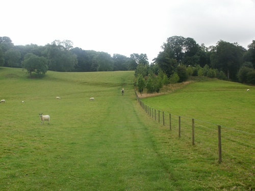 A nice dry grassy meadow for a gentle start to the day