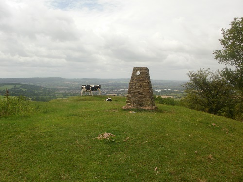 The Trig Point at Haresfield Beacon