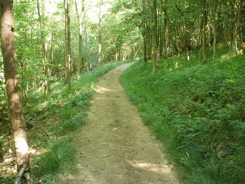 A welcome path in the shade on a boiling hot morning