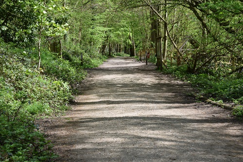 The lovely track through Trosley Country Park near Vigo Village