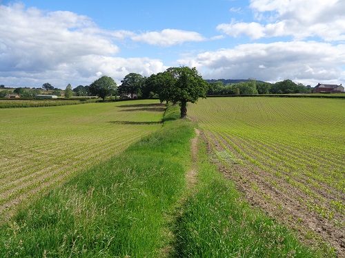 The start of the day would be a gentle stroll through flat fields