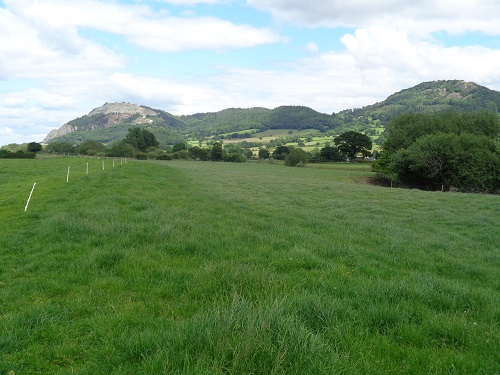 Looking towards the Breidden Hills as I walk beside the River Severn