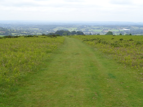 Part of the lovely to walk on Hergest Ridge near Kington