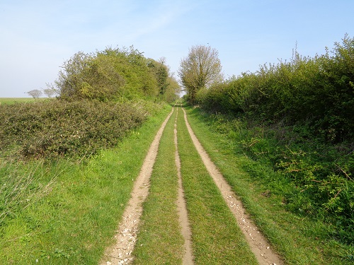 Long and straight, a typical Peddars Way path