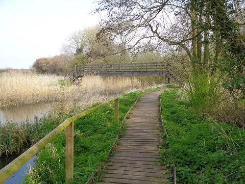 Walking along the boardwalk towards the River Thet footbridge