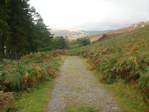 Part of the track near Burnbanks that takes you round Haweswater