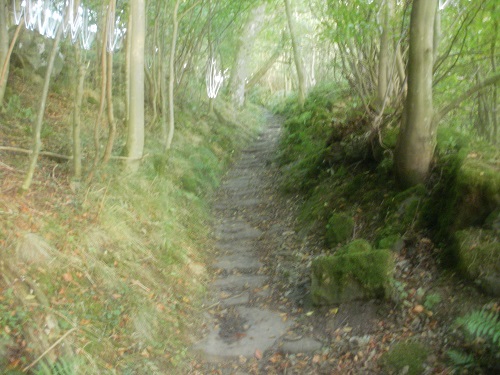 The Nuns Steps in Steps Wood take you down to Marrick Priory