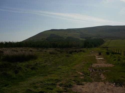 Looking at Cringle Moor on the right from Carlton Bank on a sunny morning