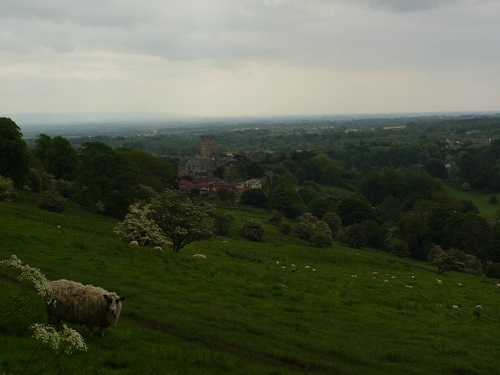 The first sign of Richmond on a gloomy morning