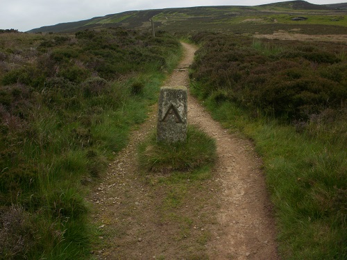 A stone marker on the route between Osmotherley and Carlton Bank