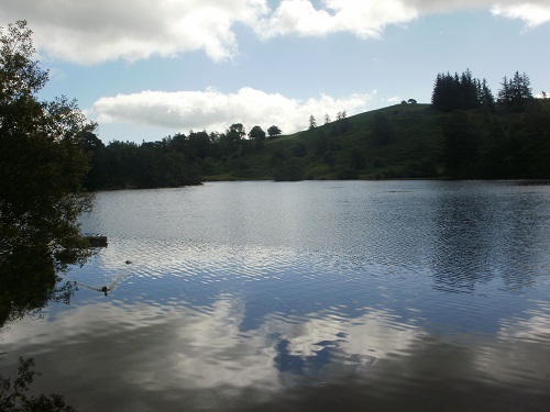 Tarn Hows looked lovely in the sunshine
