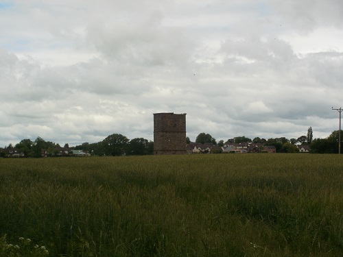 A tower in a field just before Rickerby Park