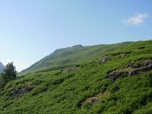 Rannerdale Knotts summit on the way up from Buttermere