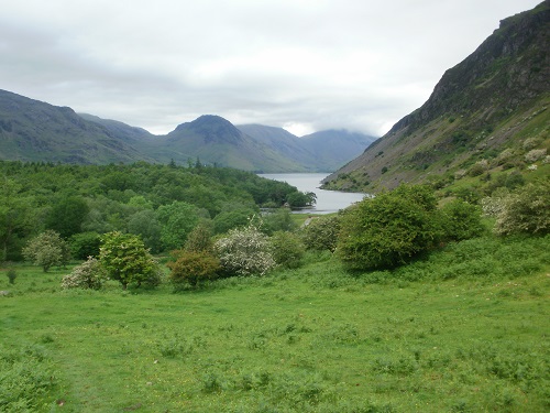 Looking along Wast Water while heading down Whin Rigg