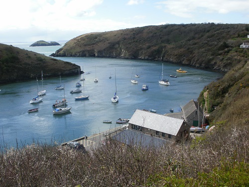 Part of the harbour at Solva
