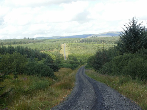 Part of the forest track heading towards Byrness