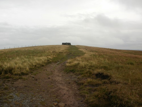 walking towards Great Shunner Fell summit