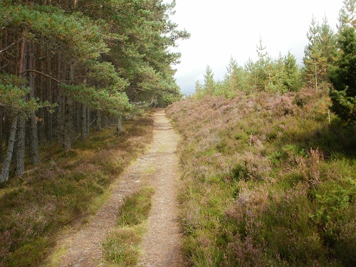 Part of the Badenoch Way between Kingussie and Kincraig