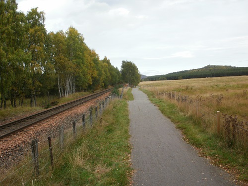 Part of the new section of path between Kincraig and Aviemore