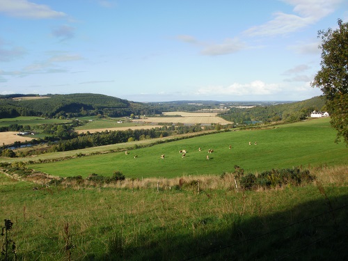 Looking towards the Moray Firth before Boat o' Brig