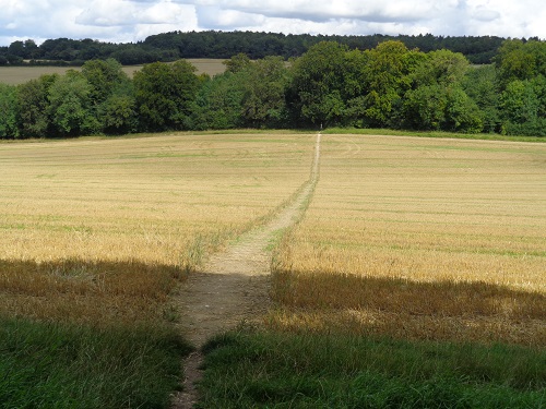 It's hard to get lost crossing fields like this one