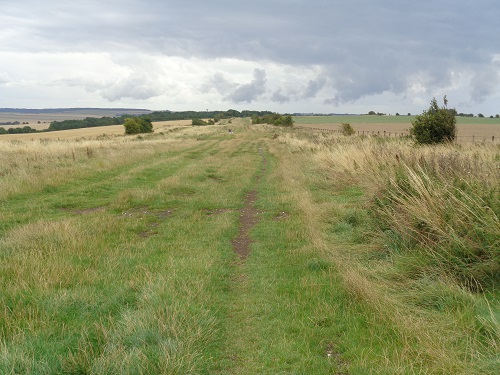 Grassy scenic sections of trail would be common today