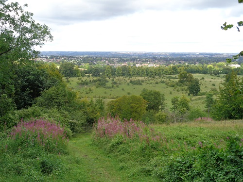 The view overlooking Tring from the bench in Tring Park