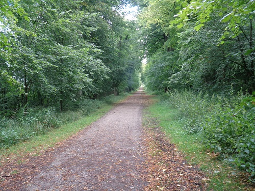The lovely path through Tring Park