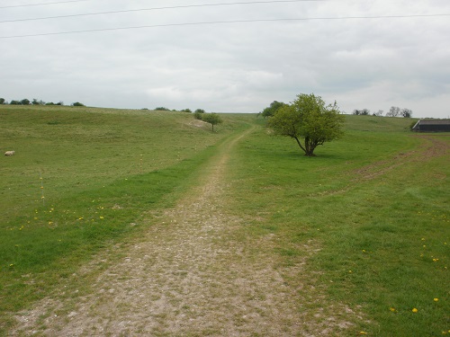 A nice grassy section nearing Holden Farm campsite