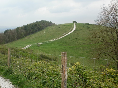 The South Downs Way path was easy to follow