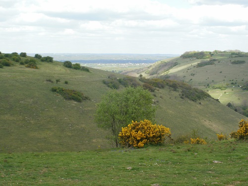 The scenery just after Devils Dyke