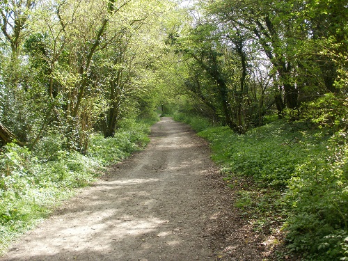 The final stretch of todays walk, near the Sustainability Centre