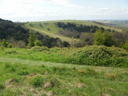 Looking across towards Old Winchester Hill