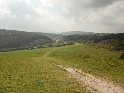 Nearing the Queen Elizabeth Country Park visitor centre and busy A3 road