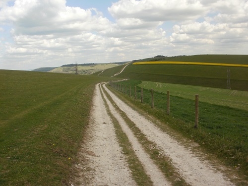 A typical stretch of path along the South Downs Way
