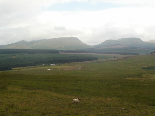 A lovely scenic moorland path to start the day