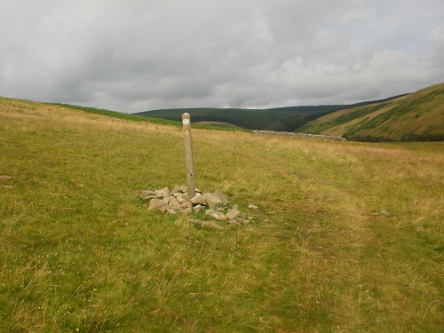 A waymarker on the Southern Upland Way near Innerleithen