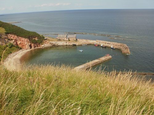 Passing Cove Harbour near the end of the Southern Upland Way