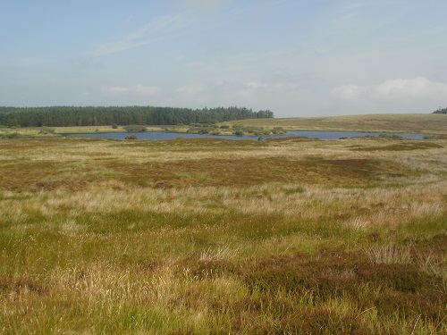Looking over towards Knockquhassen Reservoir