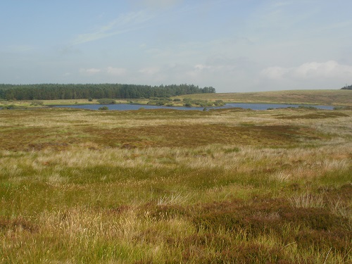 Looking over towards Knockquhassen Reservoir