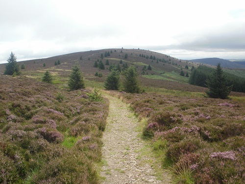 Lovely moorland walking towards the Three Brethren