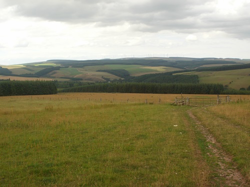 Nearing Ellemford on a nice grassy path