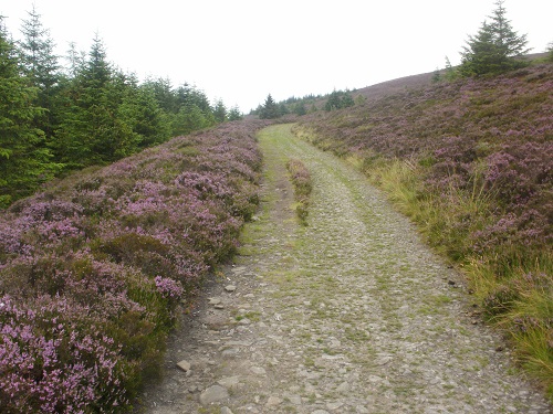 Miles and miles of nice scenic paths on the SUW