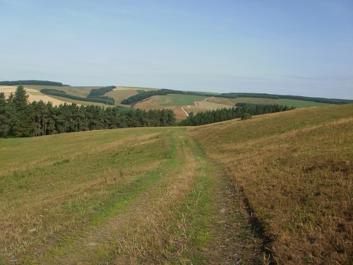 A lovely sunny start to my final day on the Southern Upland Way