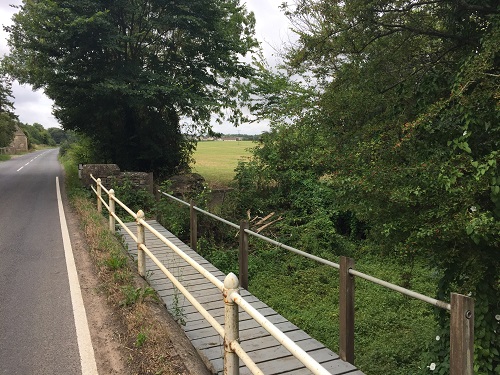 The first sighting of Kemble through the trees