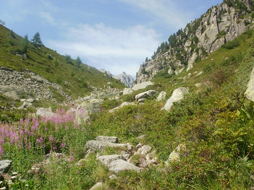 Heading up a gully as I start the ascent up to Fenetre D'Arpette