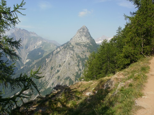 Mont Chetif seen from between the trees heading up to Rifugio Bertone