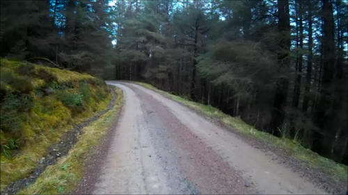 Part of the long winding forest track down to Glen Nevis