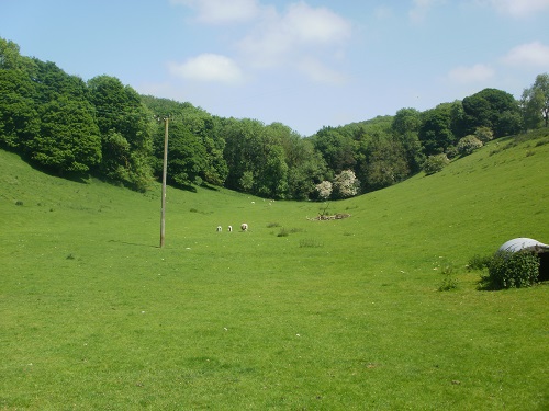 Grassy valleys would be a common feature today