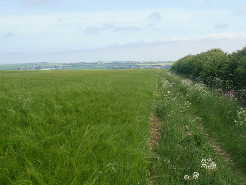 The first sighting of Filey and the sea in the distance